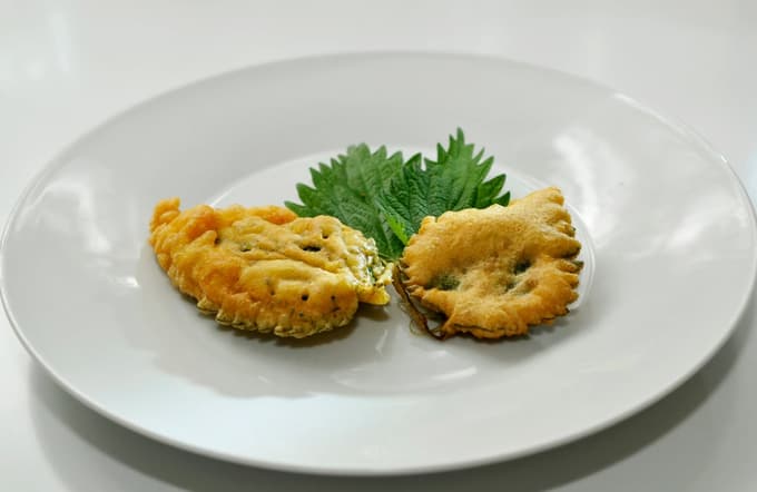 Koprive v pivskem testu