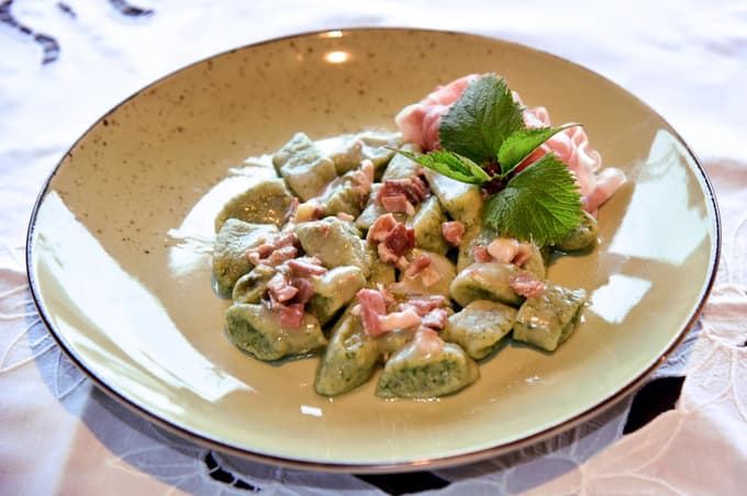 Nasveti Marije Merljak: Izberite raje koprivo kot špinačo, ima trikrat več beljakovin. Izbrali smo nekaj receptov