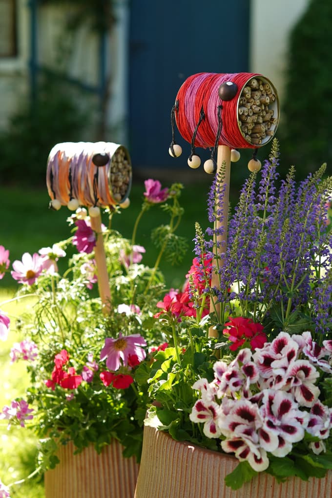 Ustvarjalni naravni vrtovi s pelargonijami