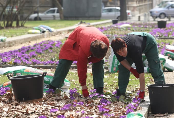 23. marec 2010, Maribor - Park - Utrinek - saditev novega cvetja in čiščenje cvetličnih gred - delavci Florine - Florina (tags: Arhiv - Ponedeljek - 03052010 - utrinek514)