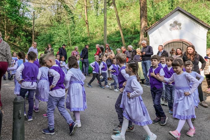 Florina se vrača: Hortenzije na Studencih napovedujejo zeleno prebujanje Maribora
