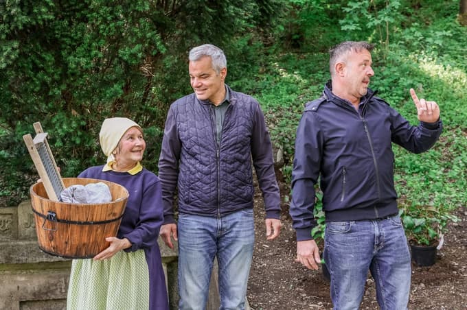 Florina se vrača: Hortenzije na Studencih napovedujejo zeleno prebujanje Maribora