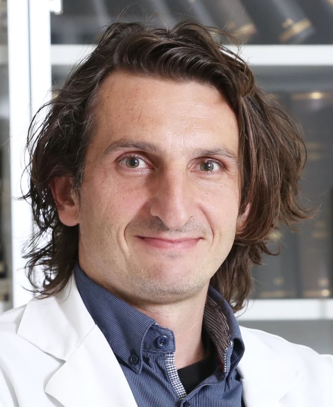 doc. dr. Blaž Koritnik