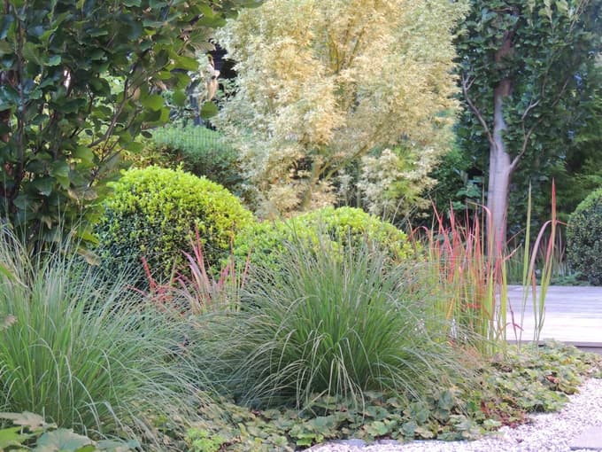 Spomladanska prenova vrta: Temelj za zeleno oazo