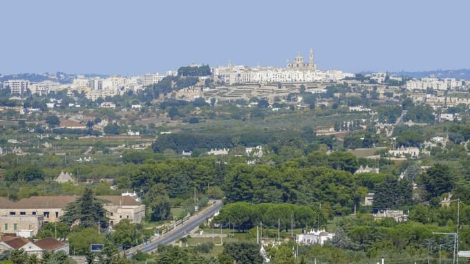 Locorotondo je znan tudi po belem vinu z zaščiteno oznako porekla (Locorotondo DOC), ki ga pridelujejo v okoliških vinogradih. 