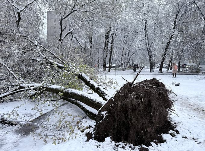 (FOTO) Zaradi snega v Moskvi odpovedanih več letov