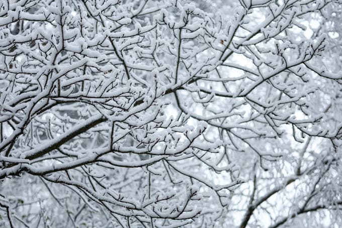 (FOTO) Zaradi snega v Moskvi odpovedanih več letov