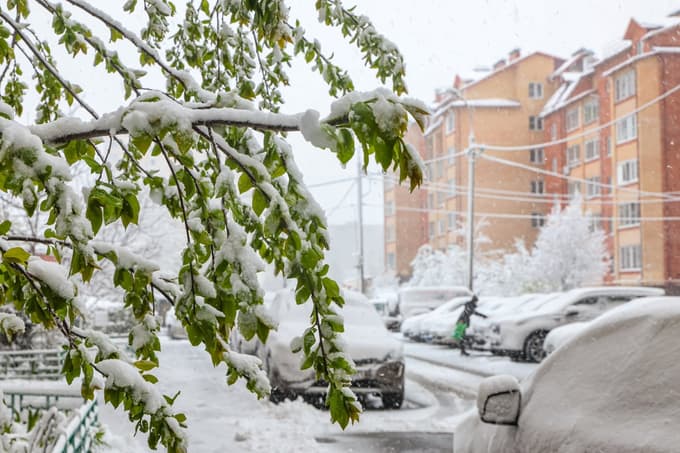(FOTO) Zaradi snega v Moskvi odpovedanih več letov