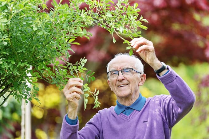 Alojz Filipič je tipičen upokojenec, ki mu zmanjkuje časa za vse konjičke.
