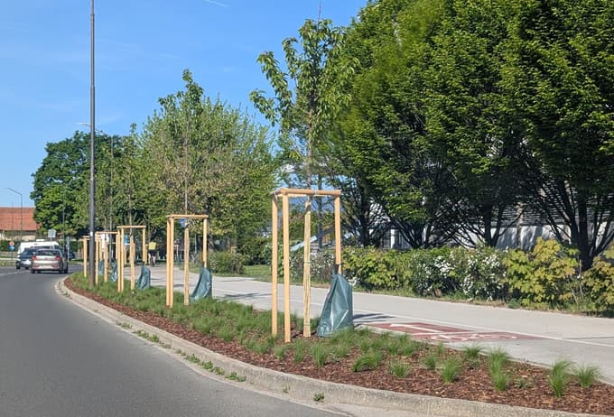 V kolikor se bo nameščanje vreč na ta način v praksi izkazalo kot učinkovitejše, ga bodo spremenili v redno prakso.