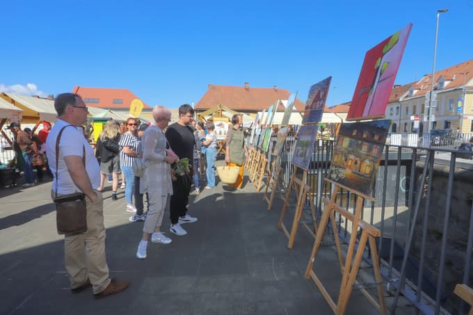 (FOTO) Na tržnici na ogled mestni učni čebelnjak. Kje bo kmalu postavljen in kdo ponuja najboljši medeni golaž?