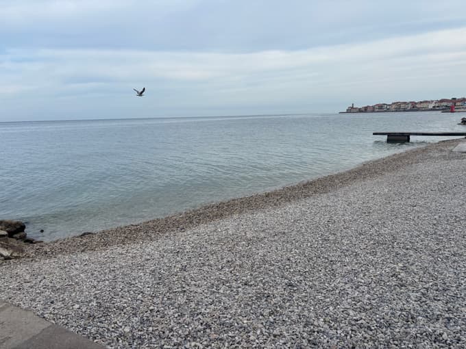 Na plaži bodo nasuli približno sto kubičnih metrov proda.