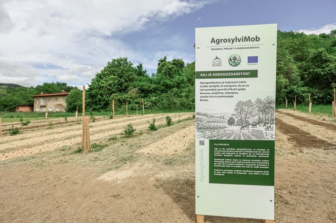 (FOTO) Od afriškega otoka do Maribora: Dijaki ustvarili učni agrogozdarski vrt