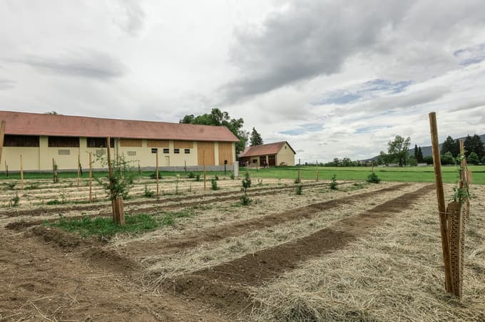 Na novem učnem poligonu bodo dijaki spremljali rast rastlin, vpliv dreves na prst in vlago ter spoznavali drugačne načine pridelave hrane.
