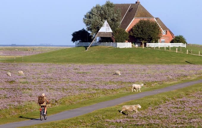 Zaradi posebnega načina življenja, izoliranosti in boja z morjem Nordstrandischmoor pogosto opisujejo kot enega najbolj nenavadnih krajev v Nemčiji. 