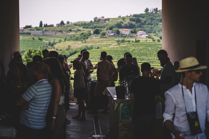 DOK Brda 2026: Ko kleti odprejo vrata in vino postane zgodba