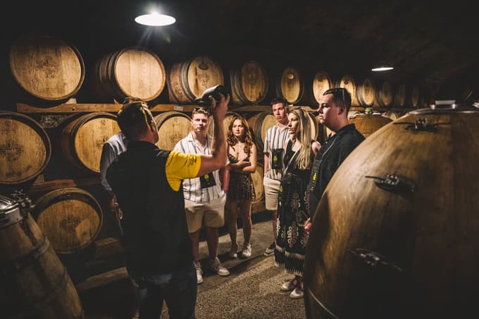 DOK Brda 2026: Ko kleti odprejo vrata in vino postane zgodba