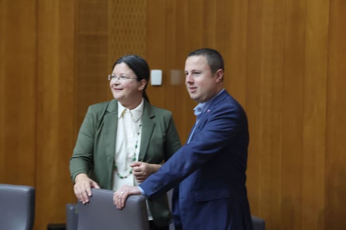 Kritični so bili zlasti do kazenske ovadbe zoper Dobranića, ki ga je poslanka Kokot kazensko ovadila.