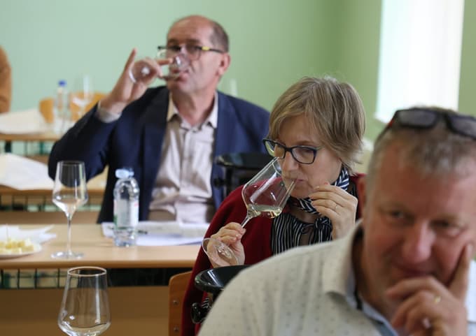 (FOTO) 60 let ocenjevanja vin v Podravju: So podnebne spremembe rešile podravska vina?
