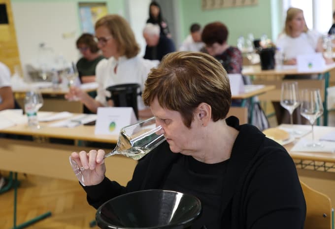 (FOTO) 60 let ocenjevanja vin v Podravju: So podnebne spremembe rešile podravska vina?