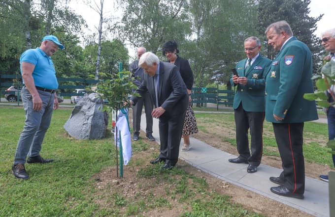 V parku so, kakor že 34 let pred tem, tudi letos zasadili vrtnico.
