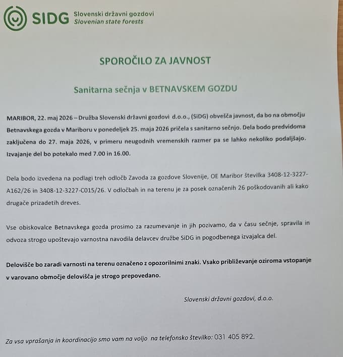 Pozor, gibanje po Betnavskem gozdu tudi smrtno nevarno! Senco raje iščite drugje!