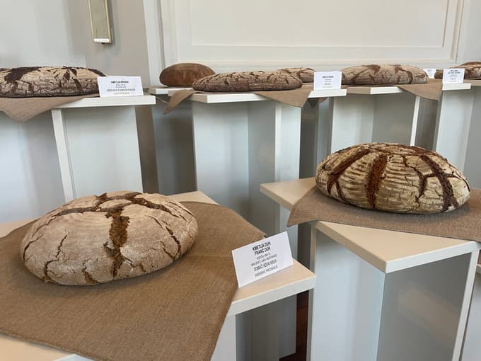 V letošnja senzorična ocenjevanja je bilo vključenih kar 885 dobrot iz vse Slovenije. Največ je izdelkov iz žit, sledijo mlečni in mesni izdelki.