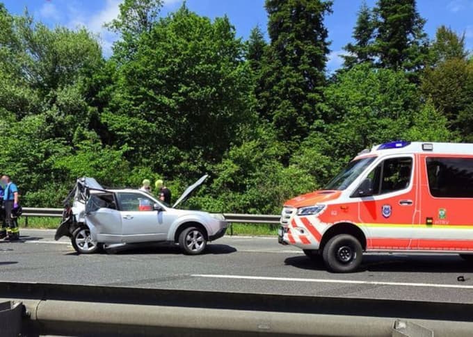 (FOTO) Zaradi okvare obstal na počasnem pasu in umrl na primorski avtocesti