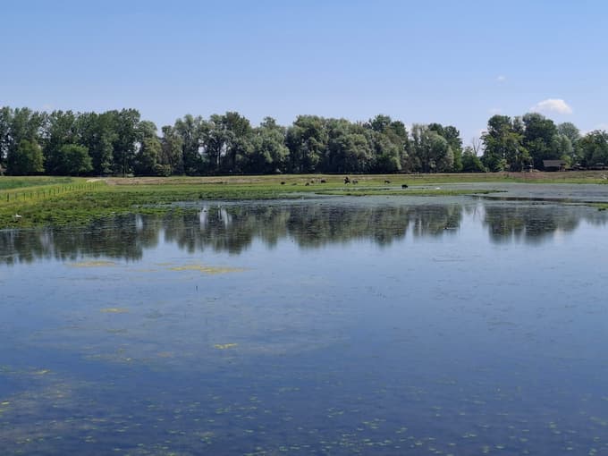 Naravni rezervat Ormoške lagune 