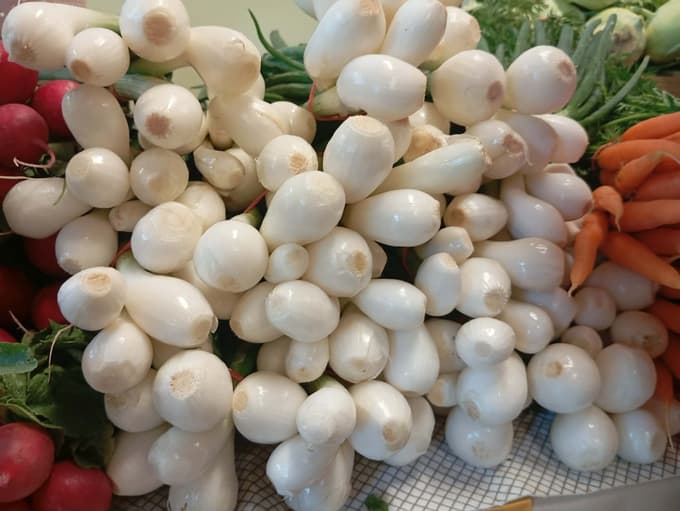 Mlada čebula je letos na mariborski tržnici naprodaj za dva evra za šopek, pred tremi leti je bilo zanj treba odšteti evro in pol. 