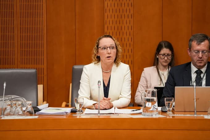 Kandidatki za ministrico za demografijo Ribič zelena luč pristojnega odbora DZ