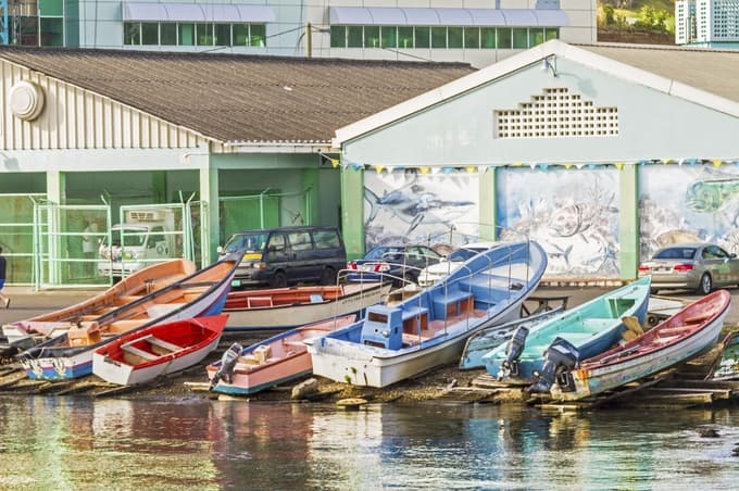 Otok je priljubljen med ljubitelji narave, saj poleg plaž ponuja deževni gozd, pohodniške poti, koralne grebene in bogato morsko življenje. Uradna turistična stran izpostavlja tudi potapljanje, snorkljanje ter opazovanje delfinov in kitov. 