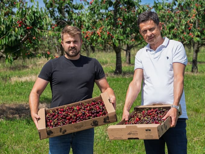 Na Sparovih policah so sveže češnje – ne boste verjeli, od kod so prišle!
