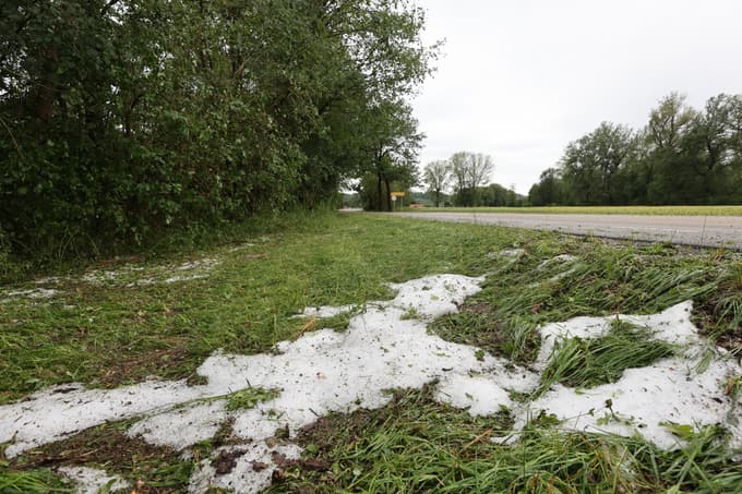 (FOTO) V Spodnjem Podravju toča največ škode pustila kmetijstvu