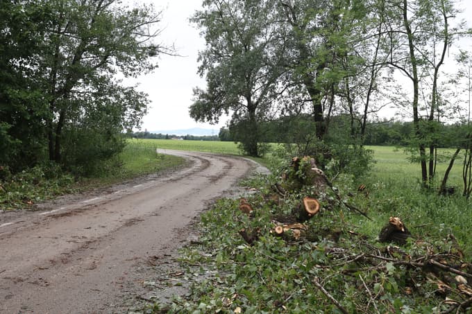 (FOTO) V Spodnjem Podravju toča največ škode pustila kmetijstvu