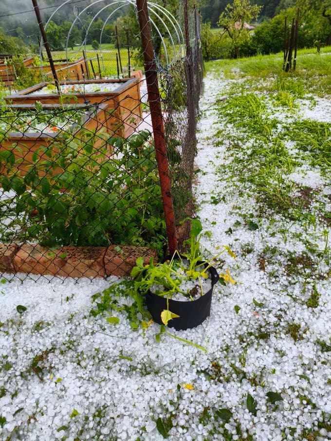 (FOTO) Močan naliv in gosta toča zalila in pobelila dvorišča: "Naenkrat se je čisto stemnilo"