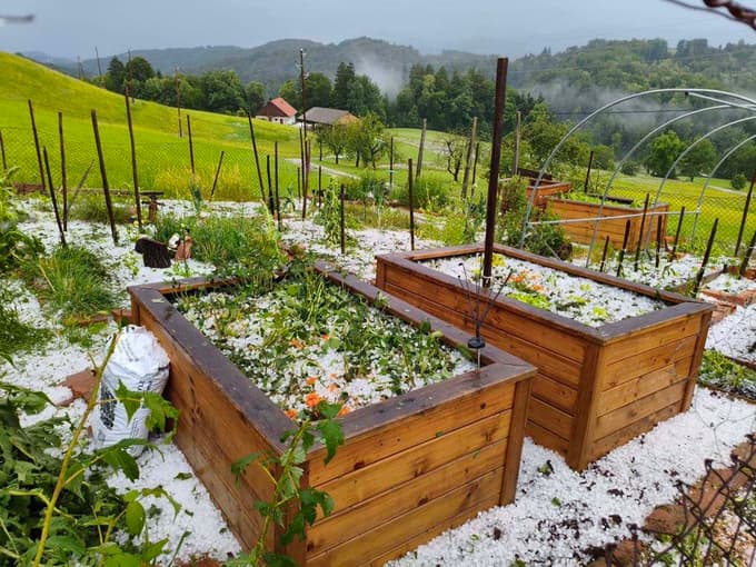 (FOTO) Močan naliv in gosta toča zalila in pobelila dvorišča: "Naenkrat se je čisto stemnilo"