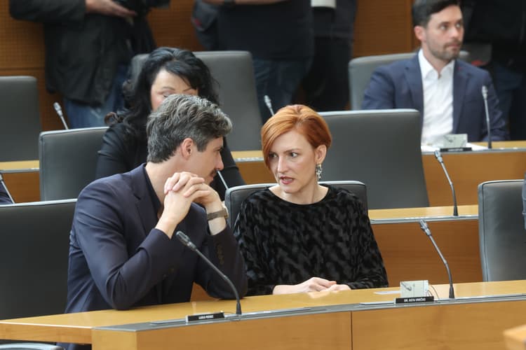 Asta Vrečko: Zoran Stevanović je na prvi izredni seji že pokazal vse nespoštovanje do poslovnika in pravil