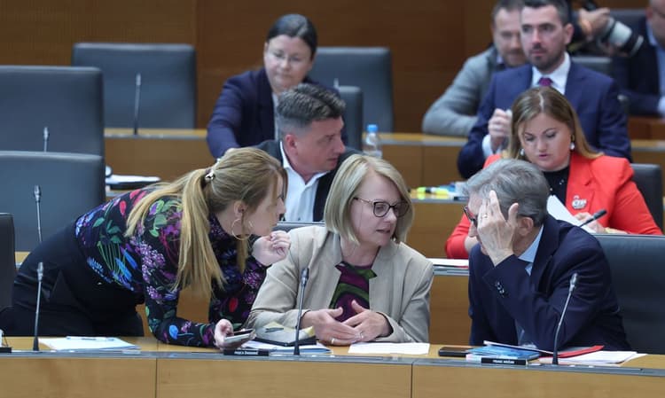 Nemir pri Logarjevih Demokratih: Del članstva nasprotuje vstopu v Janševo vlado