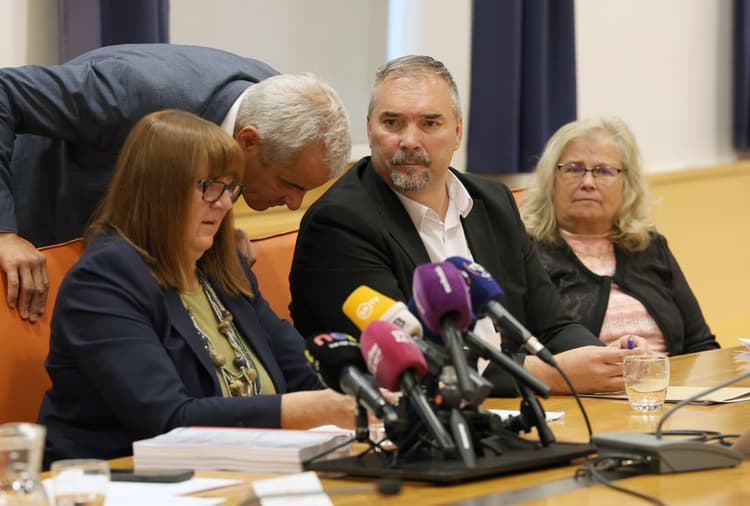 Arsenovič: O kandidaturi bom odločil konec poletja