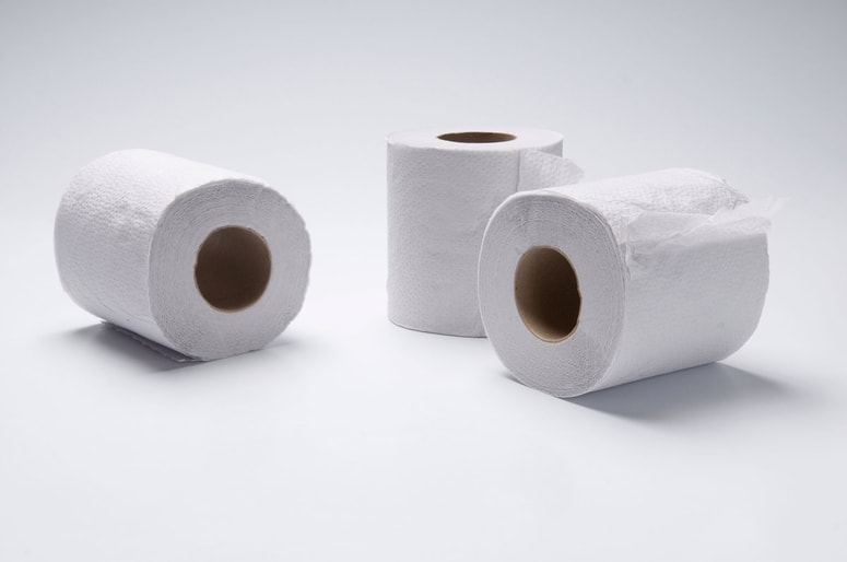 Glavna fotografija članka:Ali veste, kdo je izumil toaletni papir?