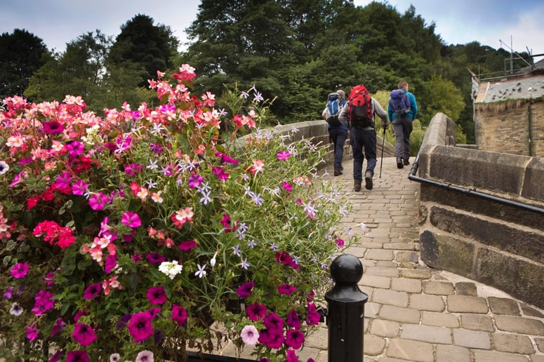 Redna hoja je pol poti do krepkega zdravja.