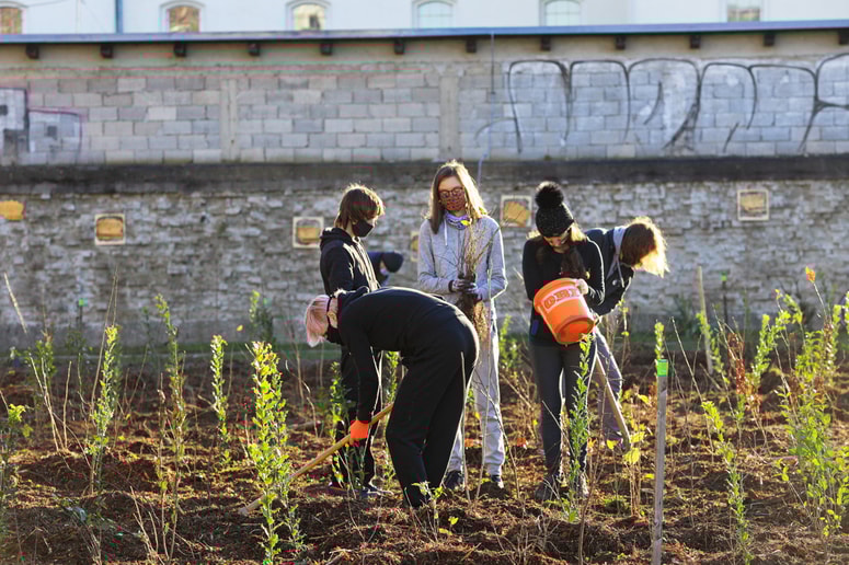 Glavna fotografija članka:V Magdaleni zasadili gozdiček za blažitev vročine in vplivov prometa