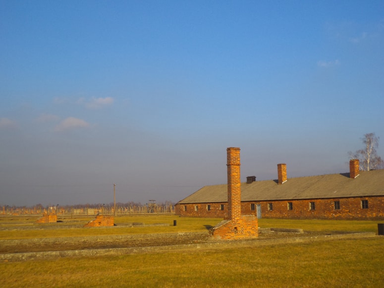 Ostanek pekla na zemlji v Auscwitz-Birkenauu Foto: Osebni arhiv