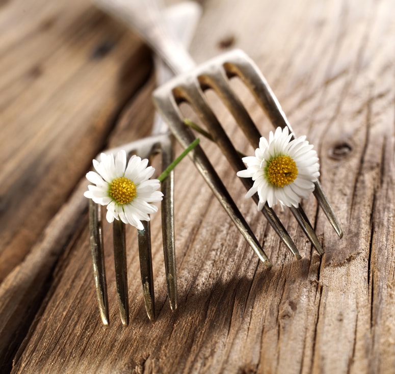 Glavna fotografija članka:Marjetice lajšajo bronhitis in bolečine v prsih, pospešujejo presnovo in celijo rane