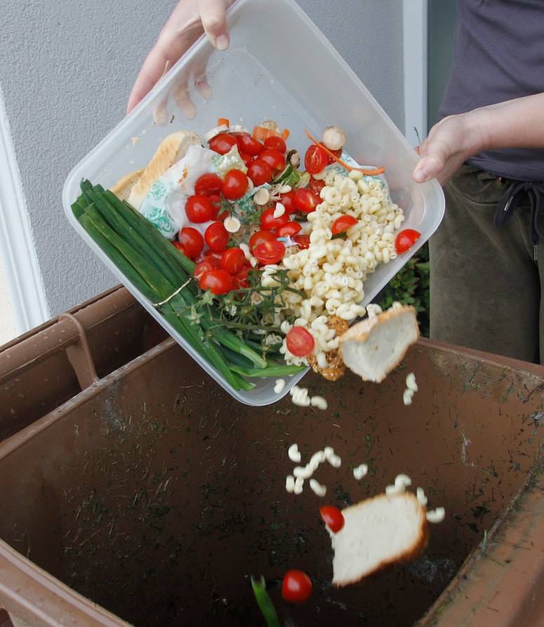 Koliko hrane pa vi zavržete? Foto: Igor NAPAST