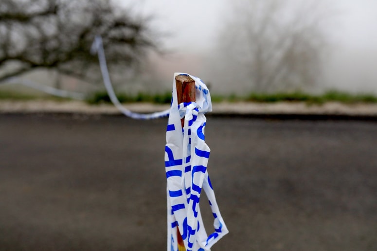 V naši družbi imamo le na deklarativni ravni ničelno toleranco do nasilja, v vsakdanji praksi pa se nasilje minimalizira, racionalizira.
Foto: Robert BALEN