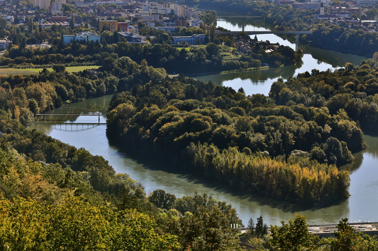 Glavna fotografija članka:Krčenje penisov in redčenje semenčic
