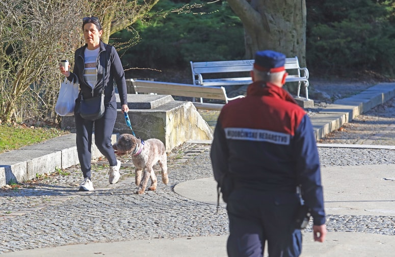 Lastniki psov se večinoma zavedajo, da svojih ljubljenčkov ne morejo prosto spuščati. Foto: Sašo BIZJAK