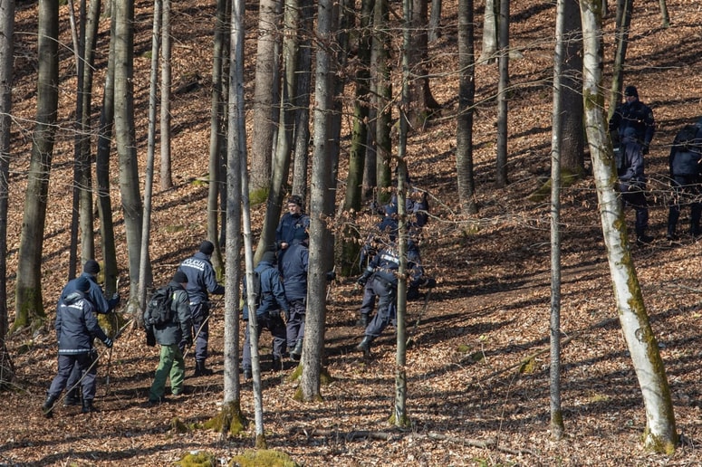 Glavna fotografija članka:Umor v gozdu pri Zgornjih Duplicah: Pobrali so mu dva tisoč evrov in ga pretepli do smrti